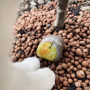 Hand-Painted Pebbles for Garden Decor | Plant Label | Unique Zen Gifts