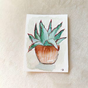 Peut inclure: Peinture à l'aquarelle d'une plante succulente dans un pot marron. La plante a des feuilles vertes avec des bords rouges. Le pot est de couleur marron clair avec des lignes verticales. L'œuvre est sur un papier rectangulaire blanc.