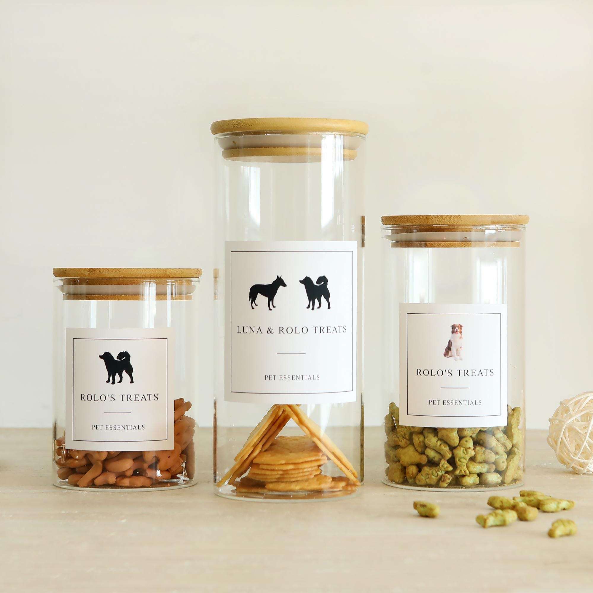 30 Lb Dog Food Container