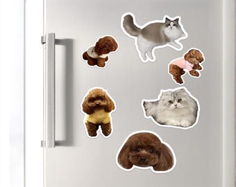 Personalisierter Haustier-Foto-Kühlschrankmagnet Kundenspezifischer magnetischer Kühlschrankmagnet Hundekatzen-Liebhaber-Geschenke, Küchendekor, Haustier-Gedenkgeschenk