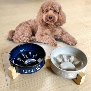 Könnte beinhalten: Zwei Keramik-Hundenäpfe, einer marineblau und einer hellgrau, jeweils mit einem Pfotenmuster und dem Namen "LULU". Die Schalen stehen auf Holzständern. Ein brauner Hund liegt hinter den Schalen.
