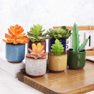 May include: A collection of six small ceramic pots, each containing a different artificial succulent plant. The pots are various colors, including blue, green, yellow, and white. The plants have orange, green, and yellow hues, creating a vibrant display.