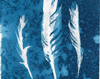 Feather wet cyanotype print, 5x7