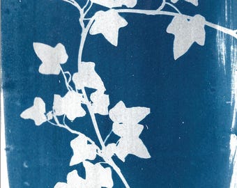 Ivy cyanotype print, 5x7