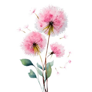 May include: Watercolor illustration of pink dandelions with fluffy seed heads and delicate, floating seeds. The dandelions have green stems and leaves, set against a clean white background. The artwork has a soft, airy feel, perfect for floral art prints.