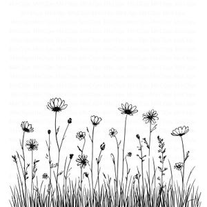 Può includere: Illustrazione in bianco e nero di fiori selvatici ed erba. L'immagine presenta vari tipi di fiori con petali e steli dettagliati, insieme a fili d'erba in basso. Il design è semplice ed elegante.
