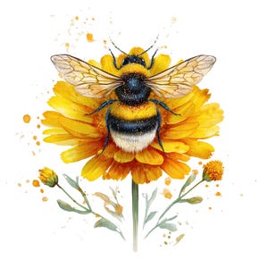 May include: A watercolour illustration of a bumblebee on a yellow flower. The bee has black and yellow stripes and transparent wings. The flower has multiple layers of yellow petals, with green leaves and stems. The background is white.