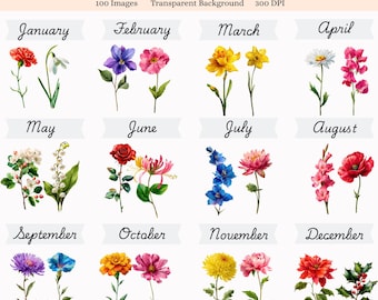 100 clipart de flores do mês de nascimento, aquarela floral PNG, pacote de flores do mês de nascimento, clipart de aniversário, conjunto floral digital, download instantâneo