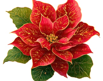 10 imagens de flores de poinsétia, decorações florais de Natal, decoração natalina vermelha e dourada, PNGs de alta qualidade, download digital, ideal para diários de arte.