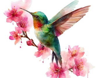 16 imagens de beija-flor em aquarela, flores da primavera, beija-flor com flores, PNGs para impressão, download digital, ideal para diário de arte e artesanato em papel.