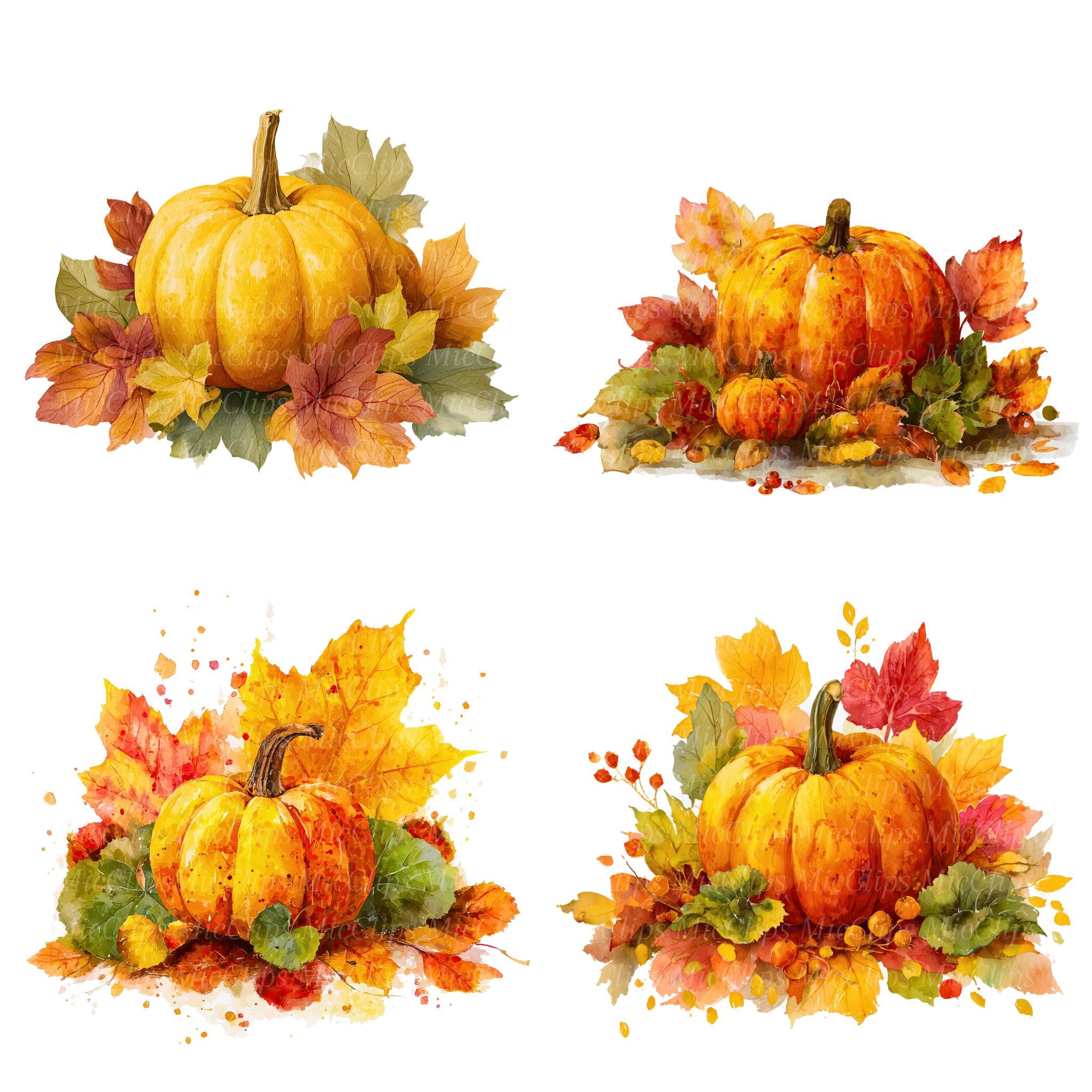Watercolor Pumpkin Clipart Set, Autumn Thanksgiving PNG (digital ...