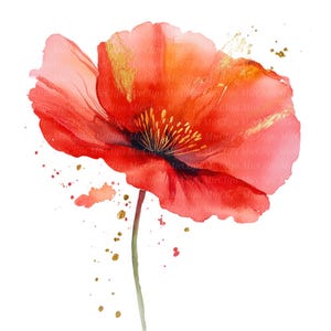 8 clipart de flores em aquarela, papoula em aquarela, clipart de aquarela para impressão, JPGs de alta qualidade, download digital, arte de diário, arte de parede
