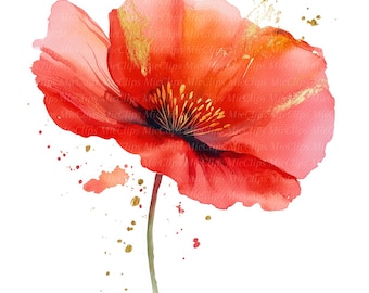 8 clipart de flores em aquarela, papoula vermelha e dourada, clipart em aquarela para impressão, JPGs de alta qualidade, download digital, arte de diário, arte de parede