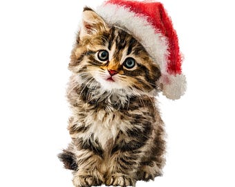 12 gatinhos fofos com chapéus de Natal, clipart de gato em aquarela, animais de cartão de Natal, PNGs de alta qualidade, download digital, diário de lixo