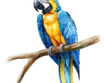 10 clipart de pássaros de araras, pássaros em aquarela, clipart para impressão, JPG de alta qualidade, download digital, arte de diário, arte de parede, clipart de araras