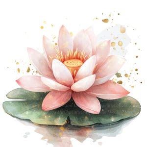 12 Clipart di loto ad acquerello, fiore ad acquerello, clipart di acquerello stampabile, JPG di alta qualità, download digitale, arte di diario, arte murale