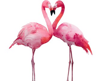 10 Watercolor Flamingo Clipart, Pink Flamingo PNG, Tropical Bird Clipart, Nursery Decor, Summer clipart, Exotic Bird Clipart, Junk Journal