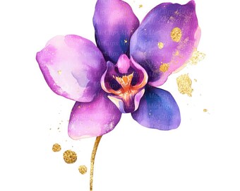 Akvarell orkidé Clipart, blomillustrationskonst (digital nedladdning)