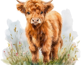 16 imagens de vacas das Terras Altas, animais de fazenda bebês, bezerros das Terras Altas da Escócia, PNGs em aquarela para impressão, download digital, uso comercial, artesanato.