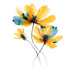 May include: Watercolor painting of three yellow and blue flowers with black stems against a white background. The flowers have delicate, translucent petals with blue accents in the center.