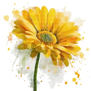 Può includere: Dipinto ad acquerello di una vivace margherita gerbera gialla con centro e stelo verdi. I petali sono dettagliati con ombreggiatura e lo sfondo presenta morbide spruzzate di acquerello in giallo e arancione.