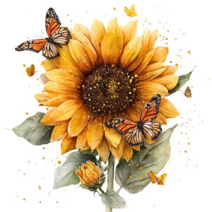 May include: A watercolour illustration of a large sunflower with a dark brown centre and bright yellow petals. Two orange and black butterflies are near the flower, with smaller butterflies and green leaves.