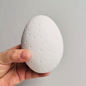 Peut inclure: Un objet blanc en forme d'œuf avec une surface texturée ressemblant à la lune. L'objet est tenu dans une main.