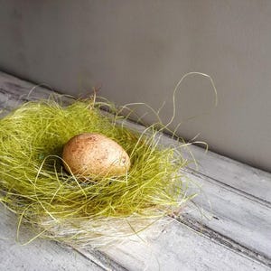Op de afbeelding: Een enkel bruin ei genesteld in een bedje van groen en wit versnipperd papier, dat lijkt op een vogelnest.