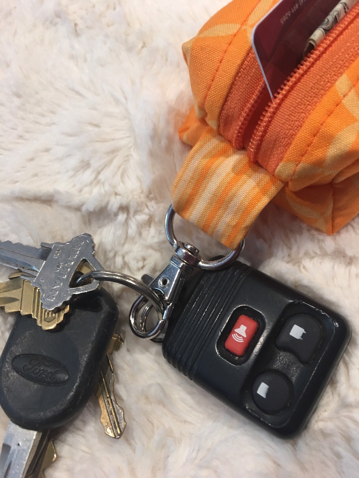 Sunglass case, keychain wallet, coin purse, ID wallet, student gift