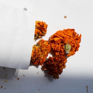 Marigold Flowers | Orange Dried Raw African Marigold Flowerheads for Natural Plant Dyeing, Steam Dyeing, Ecoprinting, Bundle Dyeing