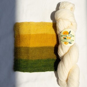May include: A skein of off-white yarn with a circular label reading READY TO DYE mordanted for lasting botanical colors, alongside a knitted swatch featuring horizontal stripes of yellow, goldenrod, olive green, and dark forest green.