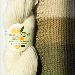 May include: A close-up of a skein of off-white yarn with a label that reads "READY TO DYE" and "mordanted for lasting botanical colors." Next to the yarn is a knitted swatch with color gradients of beige, olive green, and dark green.