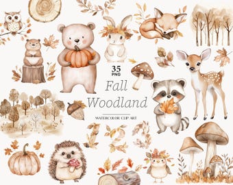 Fall Woodland Clipart: Autumn Animals, Fox, Bear (PNG Files)