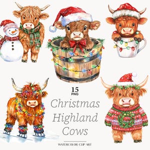 Christmas Highland Cows clipart Christmas highland cow in bucket png cute highland cow illustration snow highland cow png digital download