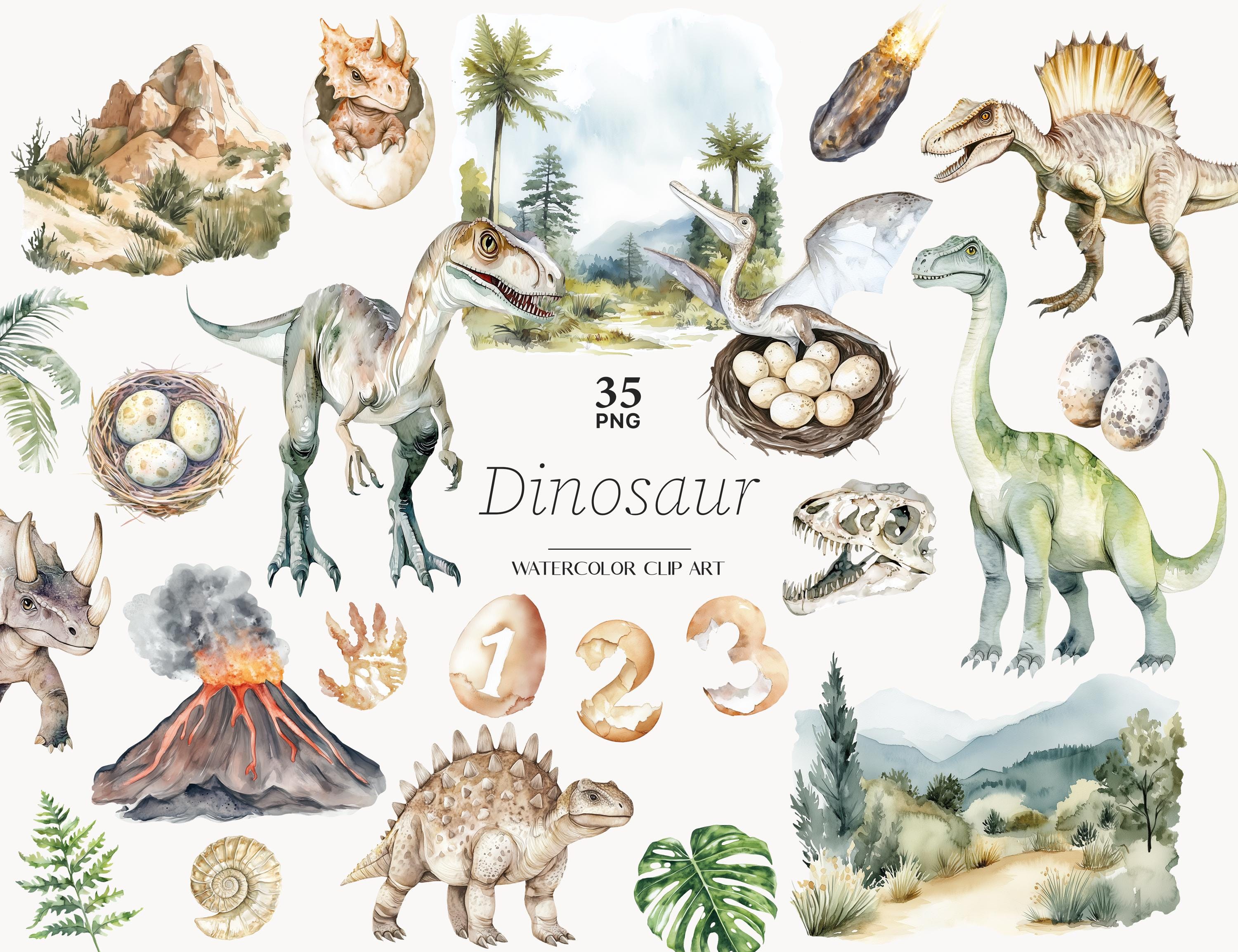 Watercolor Dinosaur Clipart: Baby Shower & Birthday Party Decor (PNG ...
