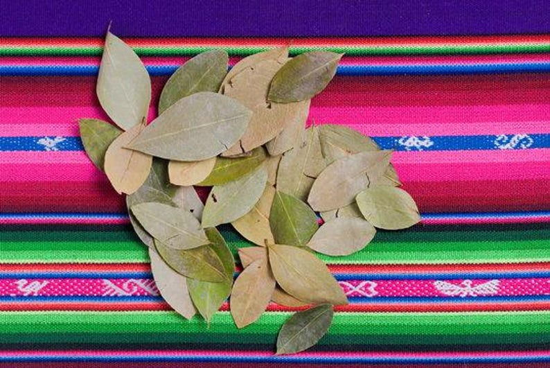 Coca Leaves The ultimate guide Digital download Etsy 日本