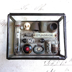 Larger Miniature Museum - Glass Box Assemblage Curiosity Mixed Media Art Cabinet of Curiosities
