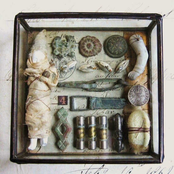 Larger Miniature Museum Glass Box Assemblage Curiosity Art Etsy