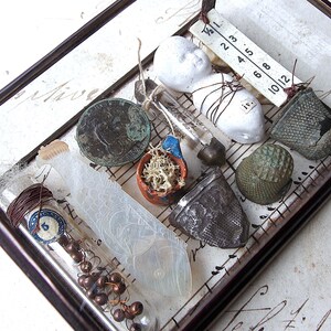 Larger Miniature Museum - Glass Box Assemblage Curiosity Art Object