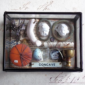 Larger Miniature Museum - Glass Box Assemblage Curiosity Mixed Media Art Cabinet of Curiosities