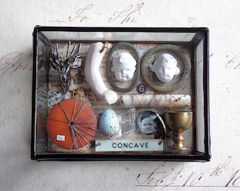 Larger Miniature Museum - Glass Box Assemblage Curiosity Mixed Media Art Cabinet of Curiosities