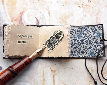 Tiny Wraparound Handbound Book: Vintage Insect Illustrations, Reclaimed Leather
