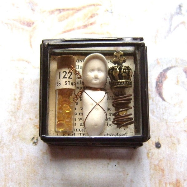 Miniature Museum - Glass Box Assemblage
