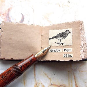 May include: A small, brown leather-bound journal with a drawing of a Meadow Pipit bird on a page. The journal is open to the page with the bird drawing and has a brown and gold fountain pen on top of it. The text on the page reads "Meadow Pipit 5 3/4 in."