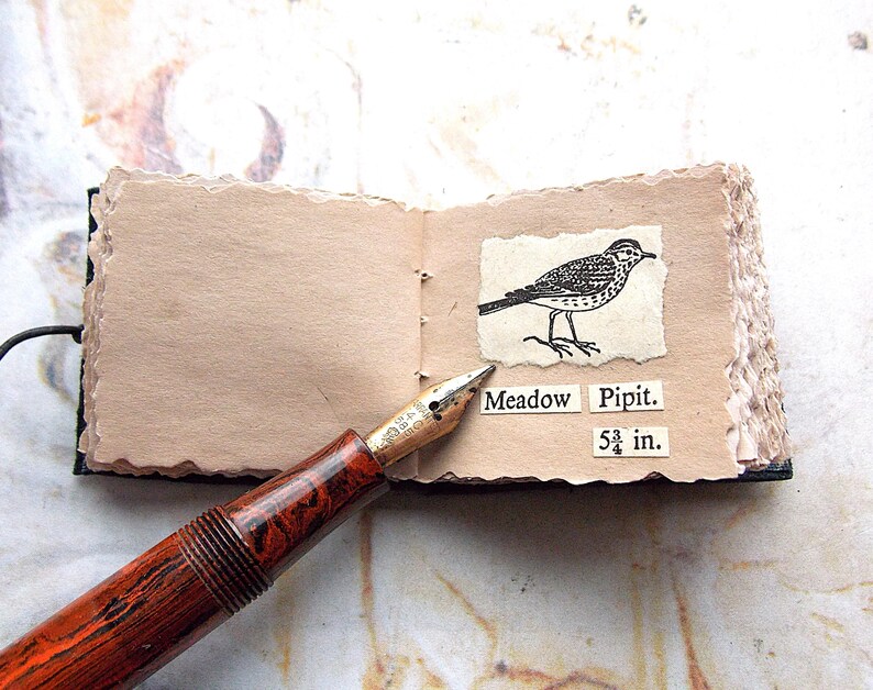 May include: A small, brown leather-bound journal with a drawing of a Meadow Pipit bird on a page. The journal is open to the page with the bird drawing and has a brown and gold fountain pen on top of it. The text on the page reads "Meadow Pipit 5 3/4 in."