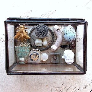 Larger Miniature Museum - Glass Box Assemblage Curiosity Art Object