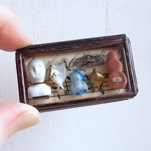 Pocket Museum - Glass Box Assemblage Curiosity Art Object