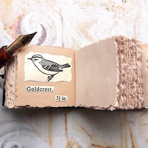 May include: A small, handmade book with a black cover and brown paper pages. The book is open to a page with a black and white illustration of a bird, labeled "Goldcrest." The text "3 1/2 in." is also printed on the page.