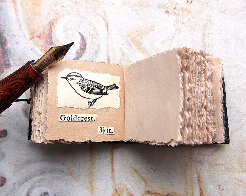 May include: A small, handmade book with a black cover and brown paper pages. The book is open to a page with a black and white illustration of a bird, labeled "Goldcrest." The text "3 1/2 in." is also printed on the page.