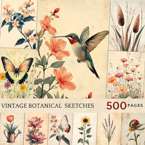 pages de journal botanique vintage, croquis floraux, éphémères de la nature, dessin antique de champignon, oeuvre d'art d'oiseau et de mouche, art de champignons de la faune